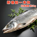 クーポンで7,999円!2023年新物!北海道産 新巻鮭一本物 約3.0kg 送料無料 ギフト新巻き鮭