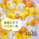 エディブルフラワー IZUMIYAMASAKI ビオラ イエローミックス 40輪 食用花 自然栽培 エディブルフラワー