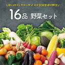 【本州送料無料】16品 野菜セット 野菜詰め合わせ ★ 野菜 野菜詰合せ 詰め合わせ 通販 旬 お取り寄せ お取り寄せグルメ 贈り物 食品 仕送り 上越フルーツ