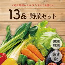 【あす配 本州送料無料】野菜セット 13品 野菜詰め合わせ 野菜BOX 野菜 詰め合わせ 旬 食材 産地直送 新鮮 宅配 生野菜 上越フルーツ キャベツ ピーマン レタス トマト ミニトマト 人参 じゃがいも なす カリフラワー しいたけ オクラ 山うど スプラウト 野菜セット 野菜宅配