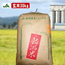 【特別栽培米】新潟県産 こしいぶき 玄米 30kg 令和5年産【送料無料・精米無料】