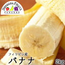 【送料無料】フィリピン産 バナナ 約2kg箱