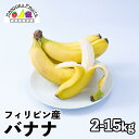 【送料無料】フィリピン産 バナナ
