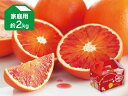 ブラッドオレンジ(タロッコ)家庭用約2kg(愛媛県産)