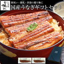 うなぎ 国産 かわすい \楽天1位の極上鰻/ ギフト 冷凍 送料無料 特大 うなぎ蒲焼き 170g×2本 【うなぎ屋かわすい】 グルメ ウナギ 鰻 蒲焼き ひつまぶし うな丼 土用の丑の日 内祝い お返し 誕生日プレゼント 土用丑 土用の丑の日 食べ物 喜ばれる 贈答 高級