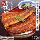 うなぎ 国産 かわすい \楽天1位の極上鰻/ 冷凍 送料無料 特大 うなぎ蒲焼き 170g×2本 【うなぎ屋かわすい】 グルメ ウナギ 2尾 鰻 蒲焼き ひつまぶし うな丼 土用の丑の日 内祝い お返し 誕生日プレゼント 土用丑 土用の丑の日 食べ物 喜ばれる 贈答 ギフト 秋グルメ