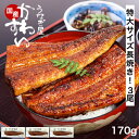うなぎ 国産 かわすい \楽天1位の極上鰻/ 冷凍 送料無料 特大 うなぎ蒲焼き 170g×3本 【うなぎ屋かわすい】 グルメ ウナギ 鰻 蒲焼き ひつまぶし うな丼 土用の丑の日 内祝い お返し 誕生日プレゼント 土用丑 土用の丑の日 食べ物 喜ばれる 贈答 ギフト 秋グルメ