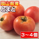 【岡山県産】 とまと 【トマト】