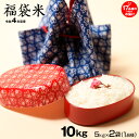 福袋米 10kg (5kg×2袋) 白米 お米 令和4年 滋賀県産 一品種でのお届け♪