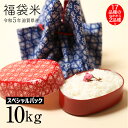 新米 福袋米 スペシャルパック10kg(5kg×2袋) 令和5年 米 お米 滋賀県産 2品種でのお届けとなります 80