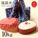 新米 白米 福袋米 10kg 5kg×2袋 滋賀県産 令和7年 1品種でのお届け 80
