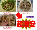 中国産 松茸 サイズM〜3L 1kg