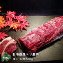 【北海道産】えぞ鹿肉/エゾシカ肉/ジビエ/ ロース 500g【shika-s】 生肉