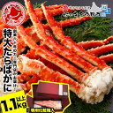 \年末予約可★さらにエントリーでポイント10倍/ 特大 たらばがに 脚 1.1kg以上 1肩入 化粧箱入 創業60年 北海道当店加工 ボイル カニ かに 蟹 タラバガニ 茹で 足 グルメ ギフト お歳暮 御歳暮 送料無料 おためし
