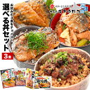 \エントリーでポイント10倍!/ 1000円 ポッキリ グルメ 温めるだけ!さんまのひつまぶし いわし丼 にしん親子丼 さば辛味噌丼 選べる3食セット 家族や友人向け♪ 送料無料 おかず イワシ ニシン サバ サンマ お試し pup1020