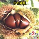 あす楽 訳あり 小布施栗 2キロ レビューを書いたら200円クーポン