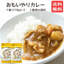 食品添加物不使用 酵母エキス不使用 たんぱく加水分解物不使用 国産小麦粉100% おもいやりカレー 2袋セット (6食分 2袋セット) 甘口 子供 送料無料 買い回り 植物性油脂 カレールー 動物性油脂不使用 カレールウ カレールゥ カレー粉 おすすめ 思いやり