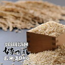 令和5年産 玄米 30kg ななつぼし 北海道 送料無料 精米無料