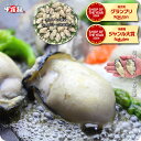 11/1/23:59までP3倍確定★送料無料3,499円!楽天ランキング1位&楽天グルメ大賞受賞!ジャンボ広島かき1kg(解凍後850g/約26〜35粒)【カキ】【牡蠣】【かき】【送料無料】