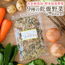 乾燥野菜 9種 国産野菜 ミックス 国産 無添加 熊本県産 100g みそ汁の具 フリーズドライ 野菜セット スープ 味噌汁 インスタント やさい 野菜 ブドウ糖不使用 保存食 《7-14営業日以内に発送予定(土日祝日除く)》|
