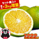 【今シーズン予約解禁!】 スイートスプリング 1.5kg 【セット購入で最大+3kgおまけ付き】 訳あり 熊本県産 送料無料 旬 の みかん 熊本産 取り寄せ 通販 (3L〜Sサイズ/3L-S混合) 2セット購入で1kg 3セット購入なら3kgおまけ 《12月中旬-12月下旬頃より発送予定》