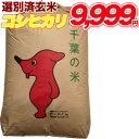 コシヒカリ 玄米 30kg千葉県産 精米(白米)無料【送料無料】