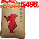 令和5年産 ミルキークイーン 10kg (5kg×2袋) 千葉県産 送料無料 精米発送・玄米発送可能 残留農薬検査済 残留農薬不検出