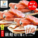 【送料無料】甘塩 銀鮭切り落とし 小切れ 選べる500g/1.5kg/3kg(500g小分け)|お弁当に最適な脂のり抜群の塩鮭 切り落とし・カマ・ハラス入り| 冷凍 共栄水産 サケ サーモン 切り身 切身 カマ 鮭 ハラス かま 鮭はらす 訳あり はらこ飯 鮭 冷凍