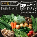 【送料無料】九州野菜お試し詰め合わせセット 花切り大根プレゼント野菜18品ベストセレクション九州で採れた美味しい野菜を選りすぐりでたっぷり18品詰めてお届け!|野菜セット 九州産 野菜 詰め合わせ 夏 ギフト やさいセット 送料込 お取り寄せグルメ