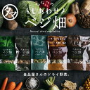 国産無添加が嬉しい。ななつのしあわせベジ畑 選べる乾燥野菜 国産 ベジ畑 (完全無添加・砂糖不使用) 手軽で便利な人にも環境にもやさしい低温ドライ製法の野菜シリーズ。7種の国産野菜をミックスした乾燥野菜 |フードロス対策 干し野菜