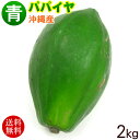 沖縄産 青パパイヤ 約2kg(2玉〜5玉)  /沖縄野菜 パパイン酵素【送料無料】