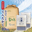 米 10kg 送料無料 白米 無洗米 てんたかく 5kg×2 令和五年産 富山県産 10キロ お米 玄米 ごはん 慣行栽培米 一等米 単一原料米 分付き米対応可 保存食 真空パック 高級 保存米 米