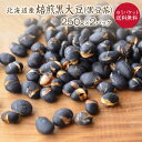 【ゆうパケット 送料無料】焙煎黒豆 250g×2個セット 北海道産黒豆使用 煎り黒豆 黒豆茶