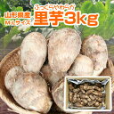 送料無料 山形県産「里芋」3kg(M-Lサイズ) 芋煮 コロッケ 楽ギフ_のし楽ギフ_のし宛書楽ギフ_メッセ入力