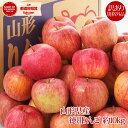 当店10月はずーっと全商品楽天ポイント5倍!ギフト 【予約】さらに最大1000円offクーポン【送料無料】 【訳有り】山形産徳用りんご 約10kg サイズ・品種おまかせ 規格外品 小傷色ムラ変形等あり 生食可 山形 りんご 林檎 産直 自家用