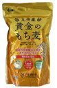 九州産 黄金のもち麦 (500g) 西田精麦 もち麦ごはん もち麦 国産