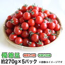 【送料無料】 ミニトマト 高糖度 甘い 優糖星(ゆうとうせい)約270g×5パック入りフルーツ感覚!