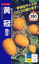 〈小袋・20ml袋〉メロン種【 黄冠 】ナント種苗