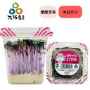 【 スプラウト 大阪産(もん) 】 レッド キャベツ スプラウト 紅キャベツの 新芽 10パック 葉酸 カロテン 含有 栄養価の高い 発芽 野菜 生産者 直送 大阪府産 無農薬栽培 サラダ スープ カルパッチョ におススメ キャベツのほのかな甘み 料理の 彩り 中野農園