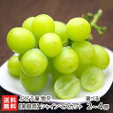 【家庭用】新潟県産 シャインマスカット訳あり品「2房」or「4房」ぶどう屋惣平【皮ごと食べられる種なしマスカット】【ぶどう/葡萄/マスカット】【送料無料】
