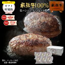 【よ〜いドン!で紹介されました】 飛騨牛 ハンバーグ 120g×6個 送料無料 ハンバーグ 肉 ギフト 黒毛和牛 ハンバーグ 牛肉 お肉 セット 詰め合わせ お取り寄せグルメ お礼 お祝い 内祝 誕生日 プレゼント 飛騨牛 ギフト ハロウィン