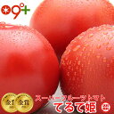 ギフト てるて姫 フルーツトマト スーパーフルーツ トマト 小箱(8～12玉 約800g) とまと 送料無料 贈答用 茨城県 産地直送