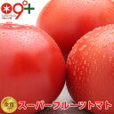 ギフト てるて姫 フルーツトマト スーパーフルーツ トマト 小箱(8～12玉 約800g) とまと 送料無料 贈答用 茨城県 産地直送