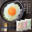 米 10kg 送料無料 令和7年産 銘柄米5割入り (はえぬき/ひとめぼれ/ササニシキ) 選べる精米方法 (無洗米/白米) 山形県産 ハイクラスブレンド米 ※一部地域は別途送料追加 お米 コメ こめ