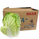 【箱売り】 白菜(はくさい・ハクサイ) 1箱(6本入り) 長野・大分・熊本・国産 【業務用・大量販売】【RCP】