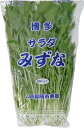 水菜(サラダミズナ・みずな) 1束約200g 福岡・九州産
