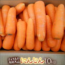【クール便価格】にんじん10kg 農薬不使用 化学肥料不使用 わけあり 規格外品 人参  にんじんジュースに最適 ニンジンおすすめの産地の発送 ※ 無農薬にんじん 無農薬人参 の表記は ガイドラインにおいて 禁止されています