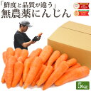 【常温便】 雑誌で紹介! 訳あり 無農薬 人参 にんじん 5kg 5キロ 送料無料 無農薬人参 無農薬にんじん 無化学肥料栽培 洗い ニンジン 有機人参 有機 国産 規格外品 B品 ジュース用 不揃い 人参ジュース にんじんジュース 野菜 生鮮食品 糖度測定