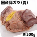 国産豚ガツ約300g 焼肉/肉/焼き肉/ホルモン/ガツ/バーベキュー pork stomach父の日 敬老の日