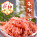 生桜えび200g|2024年春漁新物|静岡・由比港水揚げ お刺身 海鮮丼に!